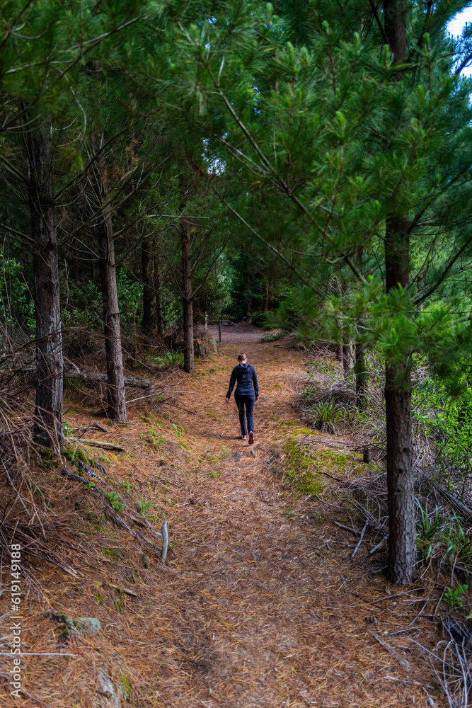 hiking in the woods