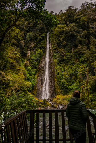 waterfall in the forest