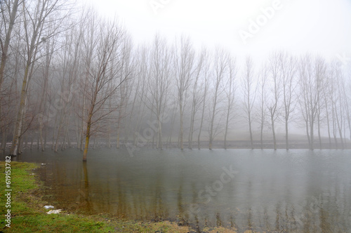 In the city of Bolu, Turkey, Cubuk Lake is one of the important natural areas of the country.