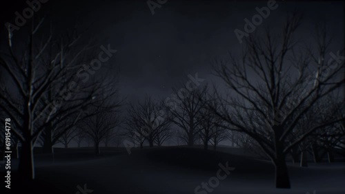 Tree forest background with mysterious fog loop