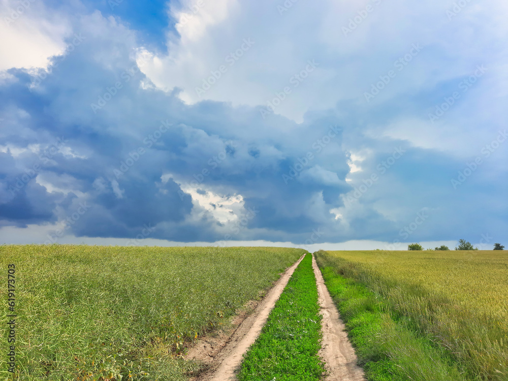 Field road in a field sown with wheat under storm clouds Field road in a field sown with wheat under storm clouds