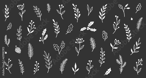 Christmas plant leaf, flower vintage set. Hand drawn doodle sketch holly floral, xmas tree leaves, winter branch elements. Holiday decoration, floral wreath sketch doodle. Vector