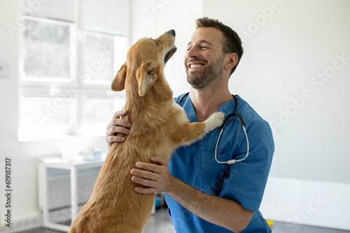Happy man vet doctor in blue uniform cuddling pembroke welsh corgi dog, playing with little dog after treatment, free space photo