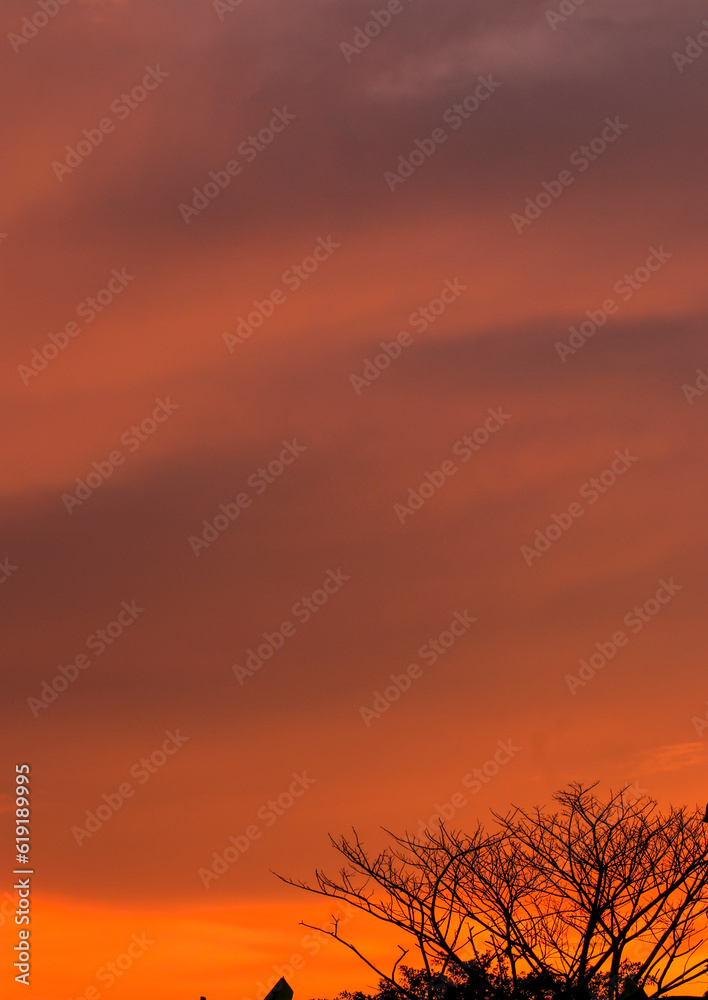 Abstract background of orange sky and tree silhouette.