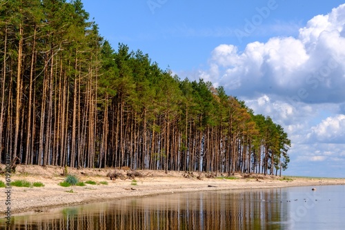 A beautiful beach in Estonia, Kihnu island. Beautiful nature of the island. Pine trees on the shore of the island
