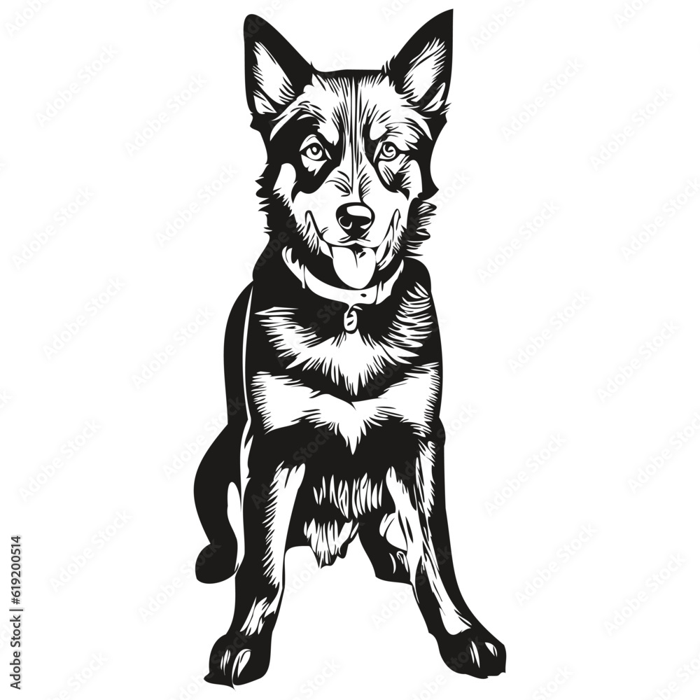 Beauceron dog face vector portrait, funny outline pet illustration white background
