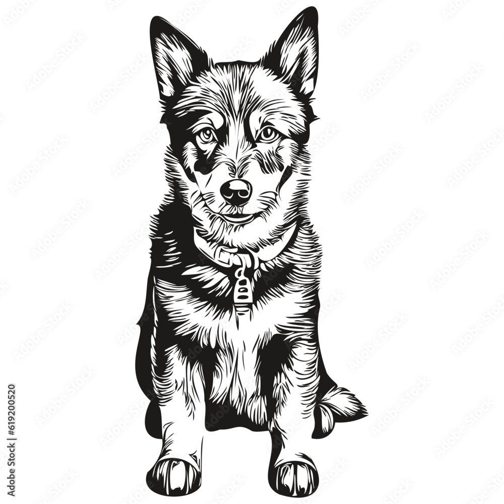 Beauceron dog pet silhouette, animal line illustration hand drawn black and white vector