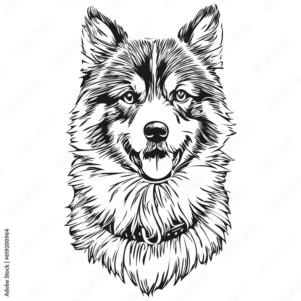 Finnish Lapphund dog pet silhouette, animal line illustration hand drawn black and white vector Finnish Lapphund dog pet silhouette, animal line illustration hand drawn black and white vector
