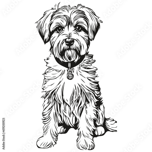 Dandie Dinmont Terriers dog hand drawn logo drawing black and white line art pets illustration realistic breed pet