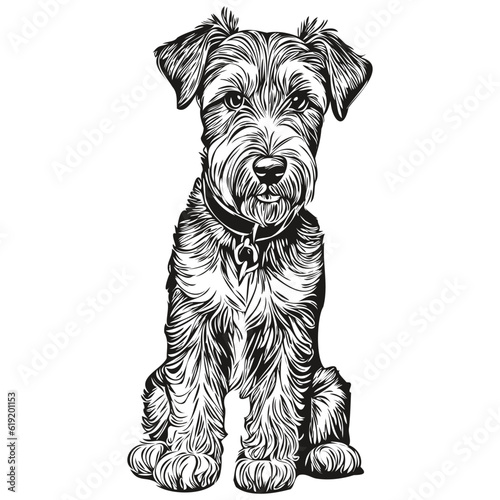 Lakeland Terrier dog silhouette pet character, clip art vector pets drawing black and white realistic breed pet