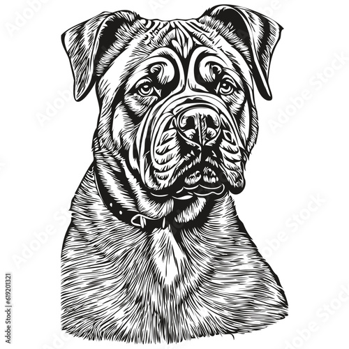 Neapolitan Mastiff dog hand drawn logo drawing black and white line art pets illustration