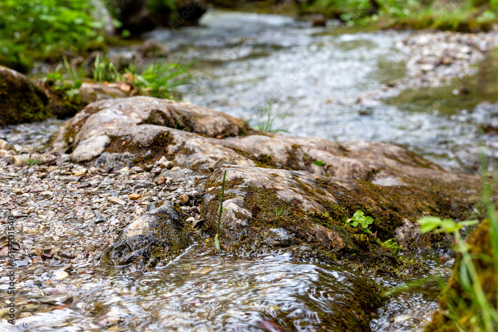 hill stream. A stream in the mountains flows over the rocks hill stream. A stream in the mountains flows over the rocks