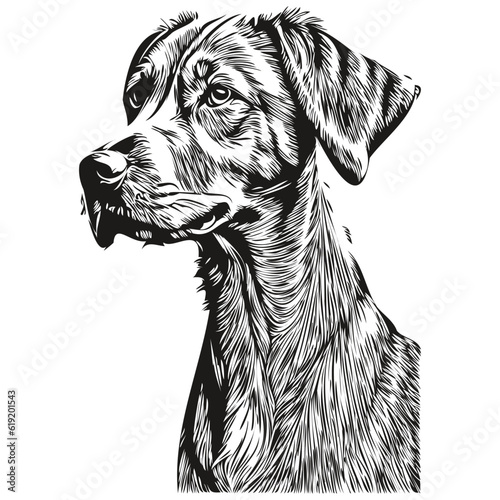 Rhodesian Ridgeback dog silhouette pet character, clip art vector pets drawing black and white