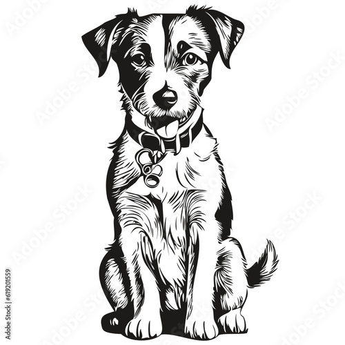 Russell Terrier dog t shirt print black and white, cute funny outline drawing vector realistic breed pet