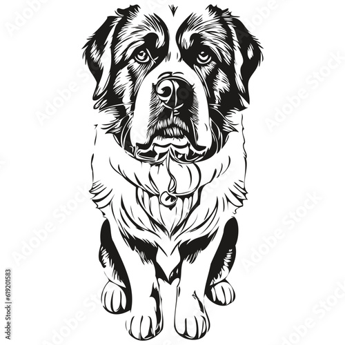 Saint Bernard dog silhouette pet character, clip art vector pets drawing black and white
