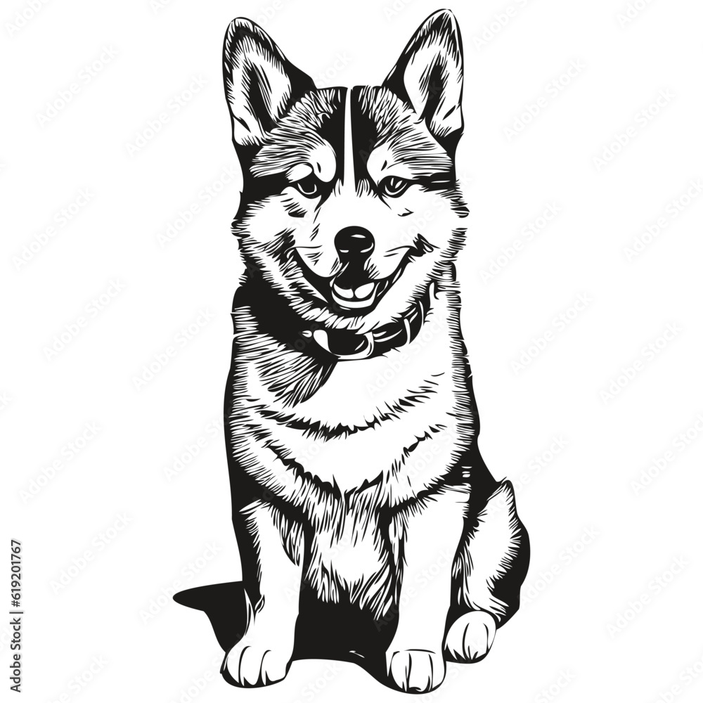 Shiba Inu dog t shirt print black and white, cute funny outline drawing vector