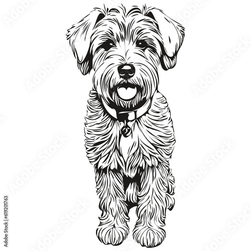 Soft Coated Wheaten Terrier dog logo vector black and white, vintage cute dog head engraved realistic breed pet