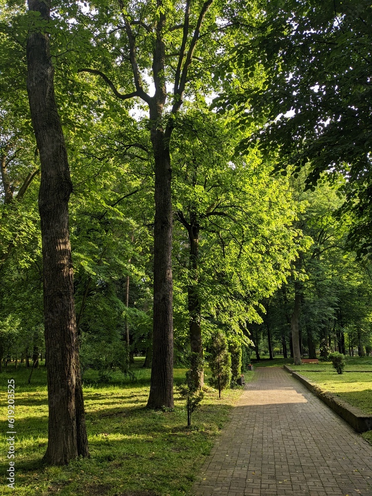 Park Park