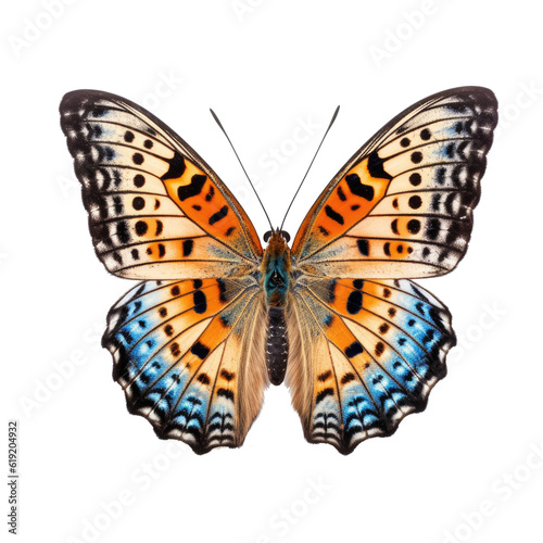 Butterfly isolated on transparent background. Generative ai © Achira22