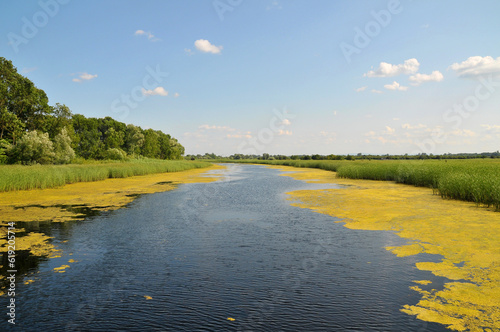 Special Nature Reserve Zasavica in Serbia  photo