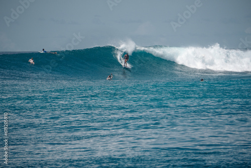Surfer girl on long board on perfect blue aquamarine wave, empty line up, perfect for surfing, clean water, Indian Ocean, Maldives 