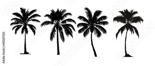 set of black silhouettes of a palm tree  silhouette of a palm tree isolated 
