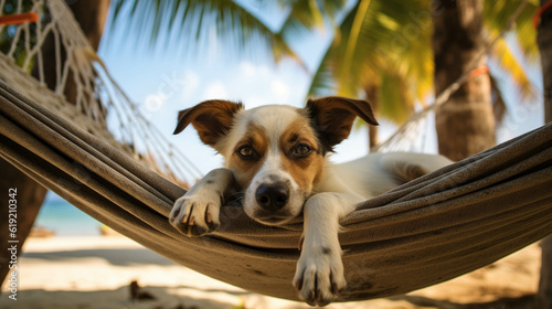 Dog Relaxing on the hammock at the beach. Concept of vacation and traveling with dog. Generative AI