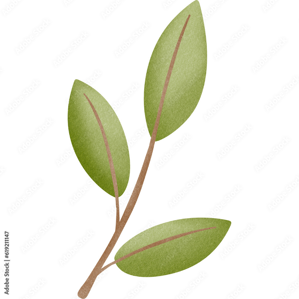 Obraz premium branch with leaves