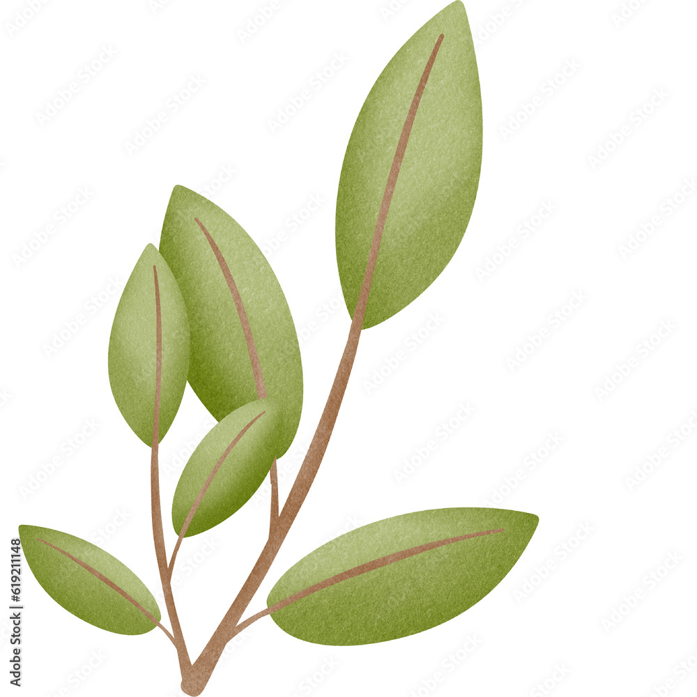 Obraz premium branch with leaves