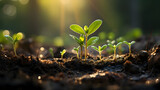 Plant growth is set against a green, blurry backdrop. sprouting from seed and developing into a seedling, Generative Ai.