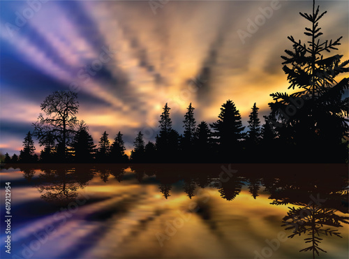evening landscapes with trees in dark forest