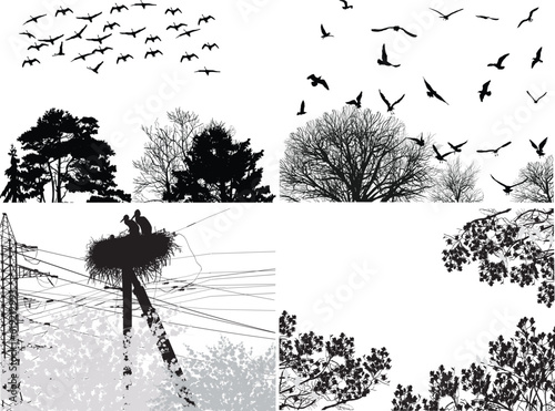 birds above trees black branches on white background
