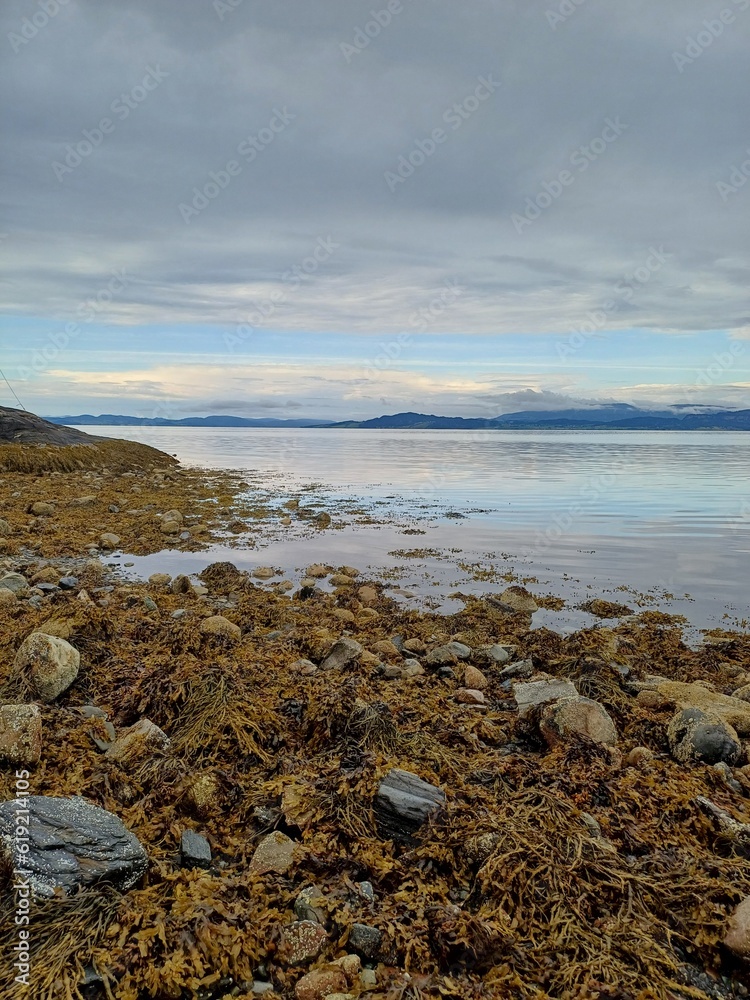 rocks on the beach