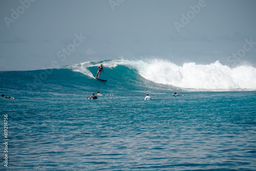 Surfer girl on long board on perfect blue aquamarine wave, empty line up, perfect for surfing, clean water, Indian Ocean, Maldives 