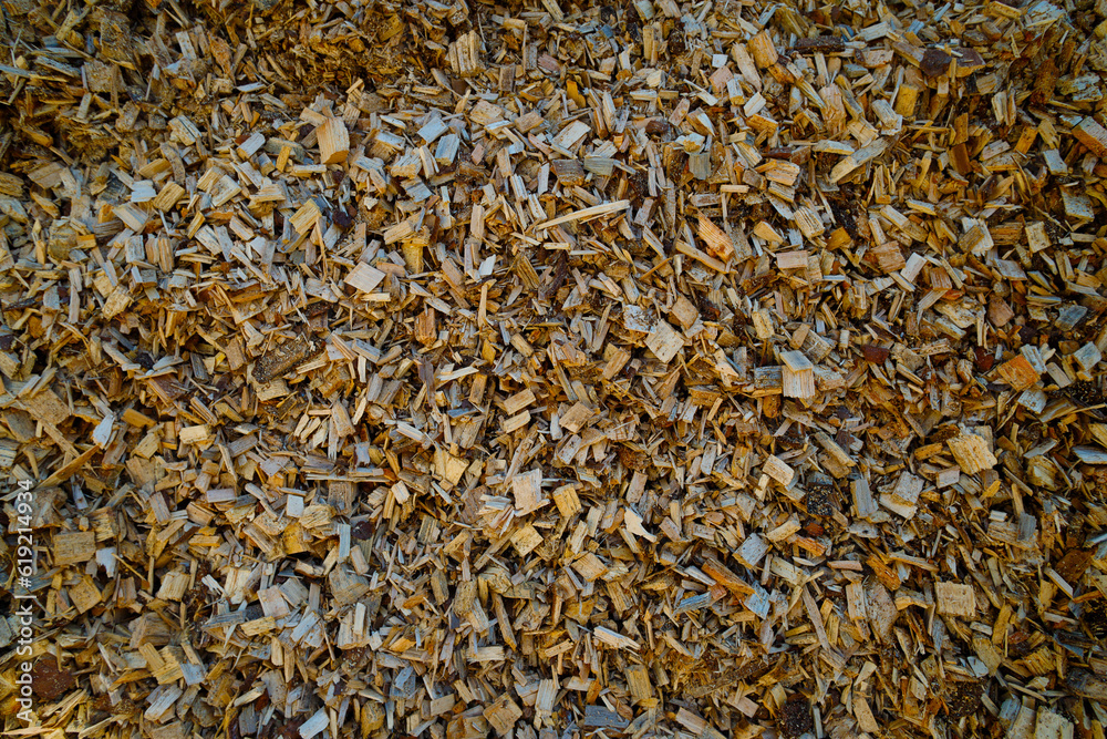 Wood chips texture. Panoramic wooden background Wood chips texture. Panoramic wooden background