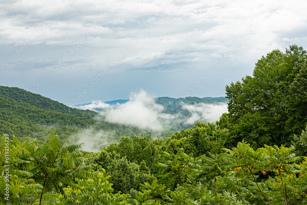 Fototapeta premium landscape in the Great Smoky Mountains National Park