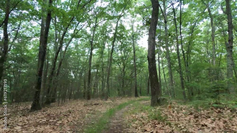 Time lapse of rider's perspective riding through a curvy dirt trail Time lapse of rider's perspective riding through a curvy dirt trail