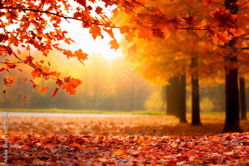 Piękny krajobraz jesień z. Kolorowe liście w parku. Spadające liście naturalne tło