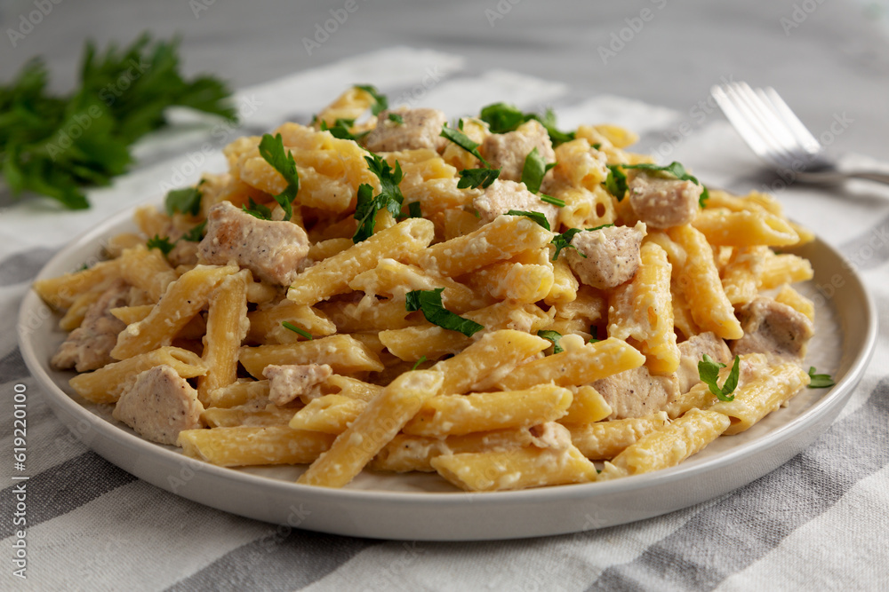 Homemade One-Pot Chicken Alfredo Pasta with Parsley on a Plate, side view. Close-up. Homemade One-Pot Chicken Alfredo Pasta with Parsley on a Plate, side view. Close-up.