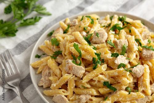 Homemade One-Pot Chicken Alfredo Pasta with Parsley on a Plate, side view.