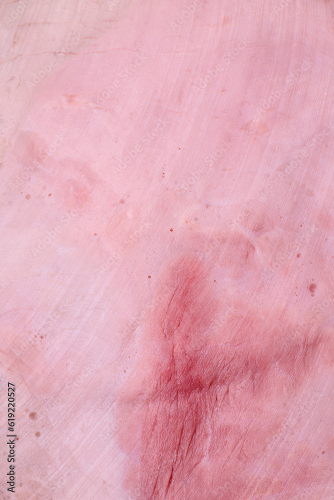 Fototapeta premium Delicious fresh ham cut into round slices with salt, spices and herbs