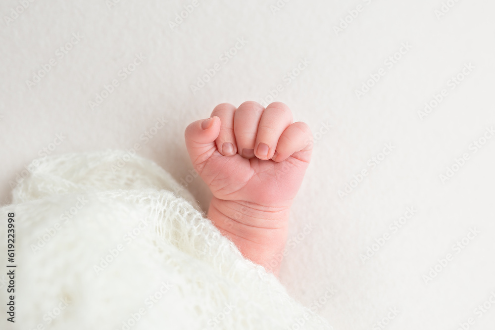 hands of a newborn baby. little hands hands of a newborn baby. little hands