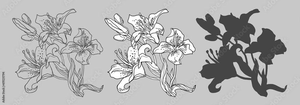 Fototapeta premium Monochrome set of isolated floral elements of Lily flowers. Black and white freehand vector fast sketch drawn by hand for greeting card, invitation of wedding, birthday, Valentines Day, mothers day.
