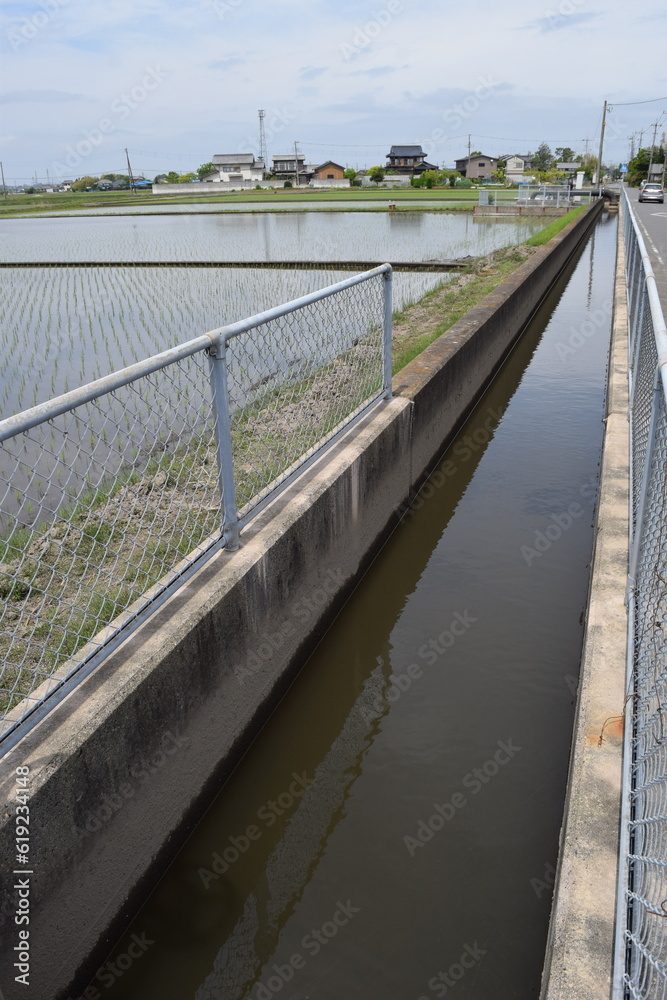 Fototapeta premium 農業用水路兼排水路 茨城県南部