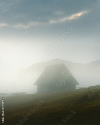 Cabin in the mist