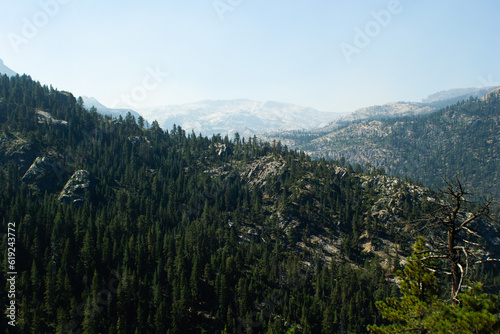 Stanislaus National Forest photo