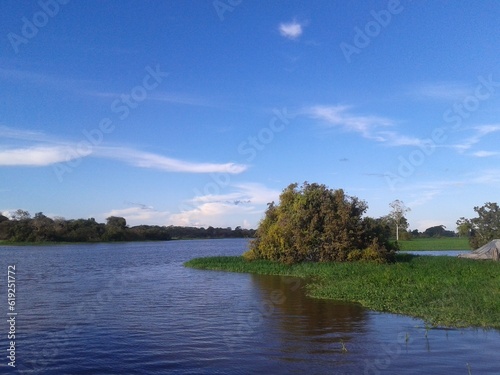 landscape with lake