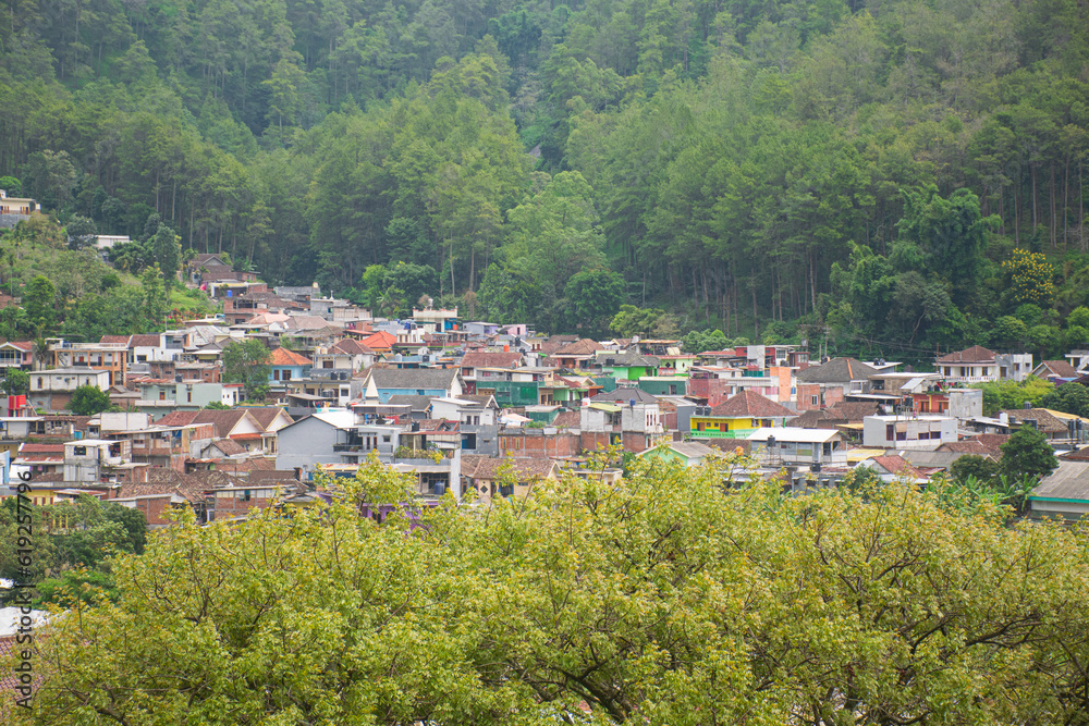 Residential settlements are starting to get denser on the hillsides of tropical forest areas
