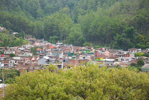 Residential settlements are starting to get denser on the hillsides of tropical forest areas 