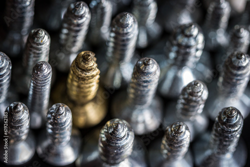 one upright gold screw among many silver screws